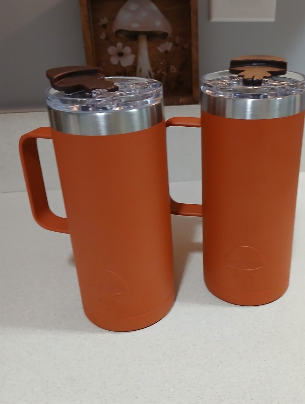 Ryze 16oz. Orange Insulated Travel Mugs with Handle NWOT